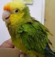 /album/fotogaleria/a4-jpg/